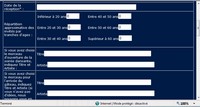 Questionnaire Animation Mariahe et Soir&eacute;e